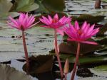 ภาพโดย(T.suwan)